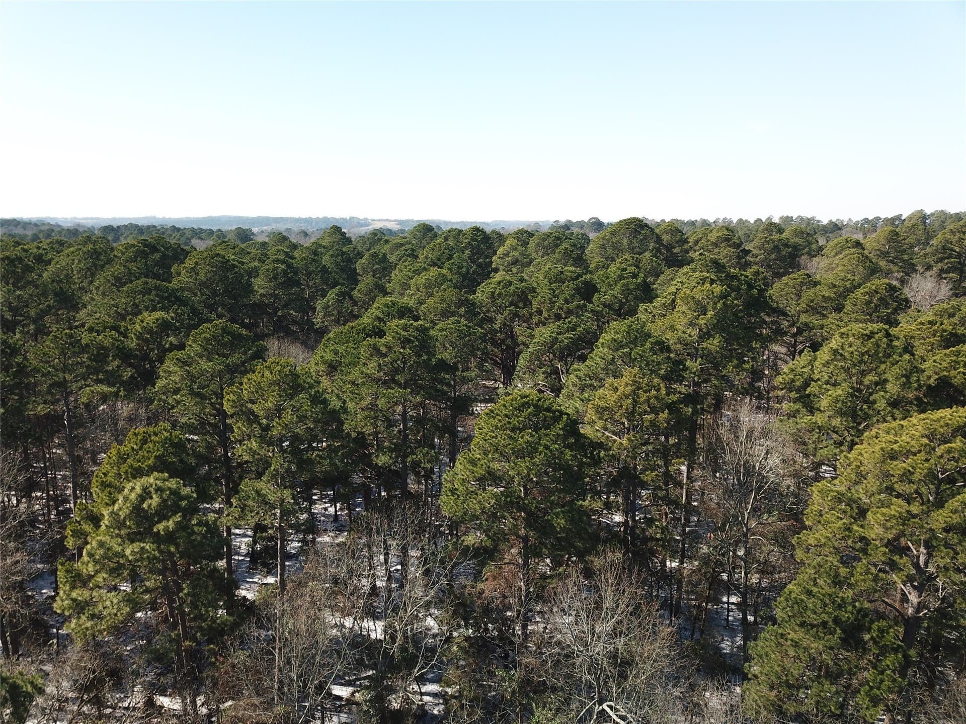 28.35 acres in Smith County