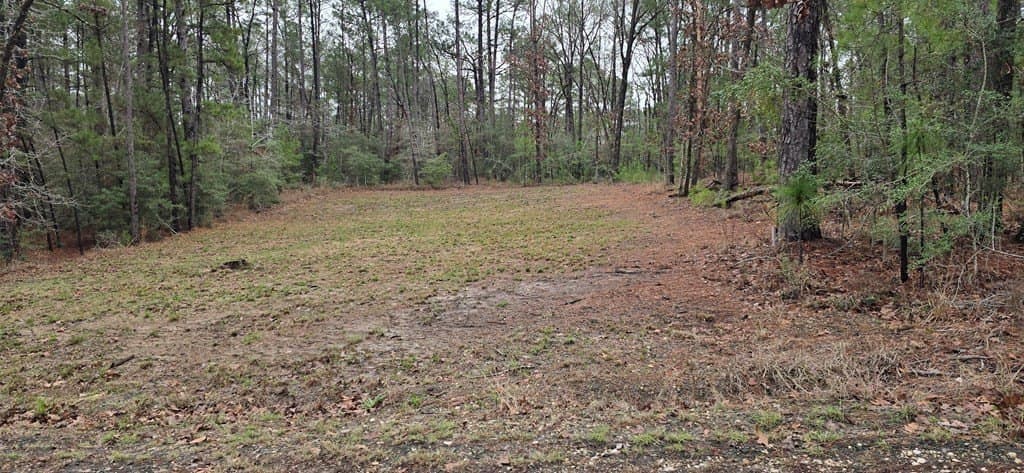 0.21 acres in Texas County gallery image 2