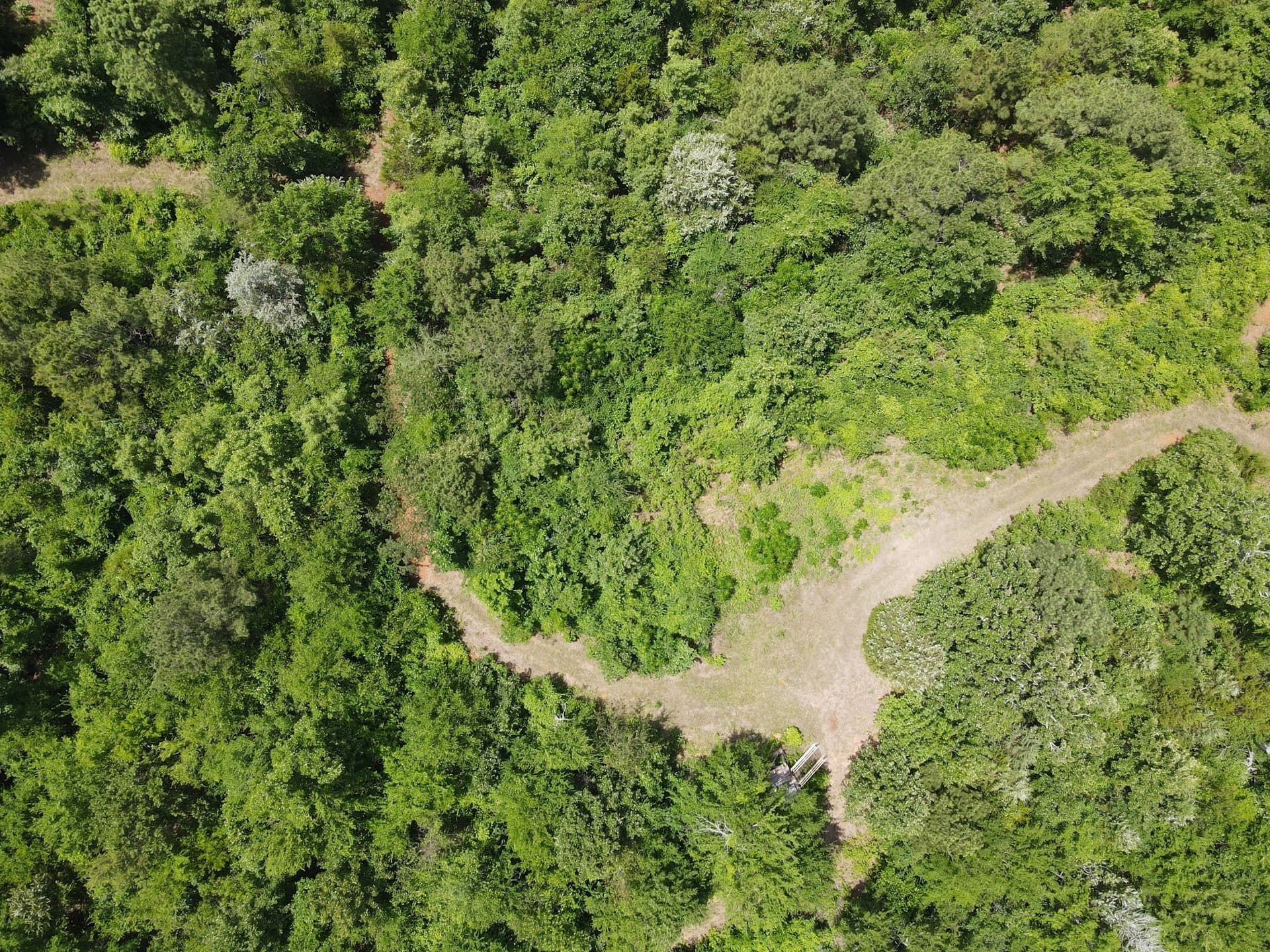 35.34 acres in Van Zandt County gallery image 4