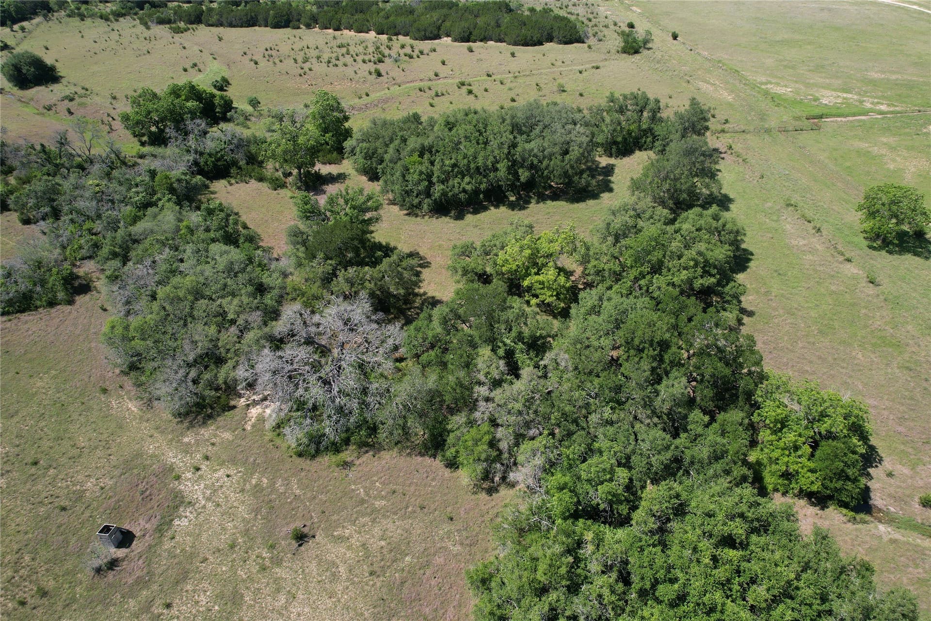 81.66 acres in Burnet County - photo 12