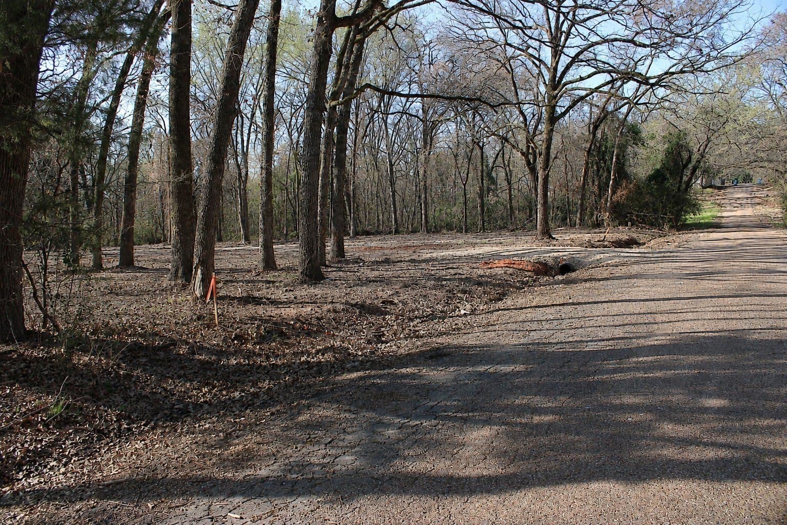 0.26 acres in Henderson County gallery image 2