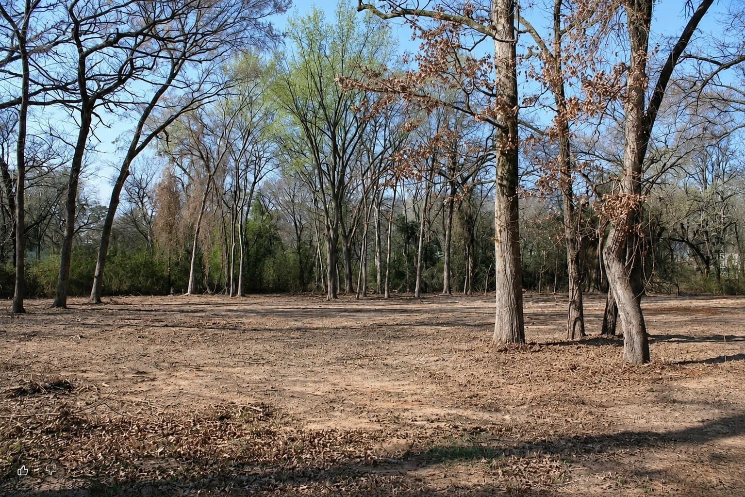 0.26 acres in Henderson County gallery image 4