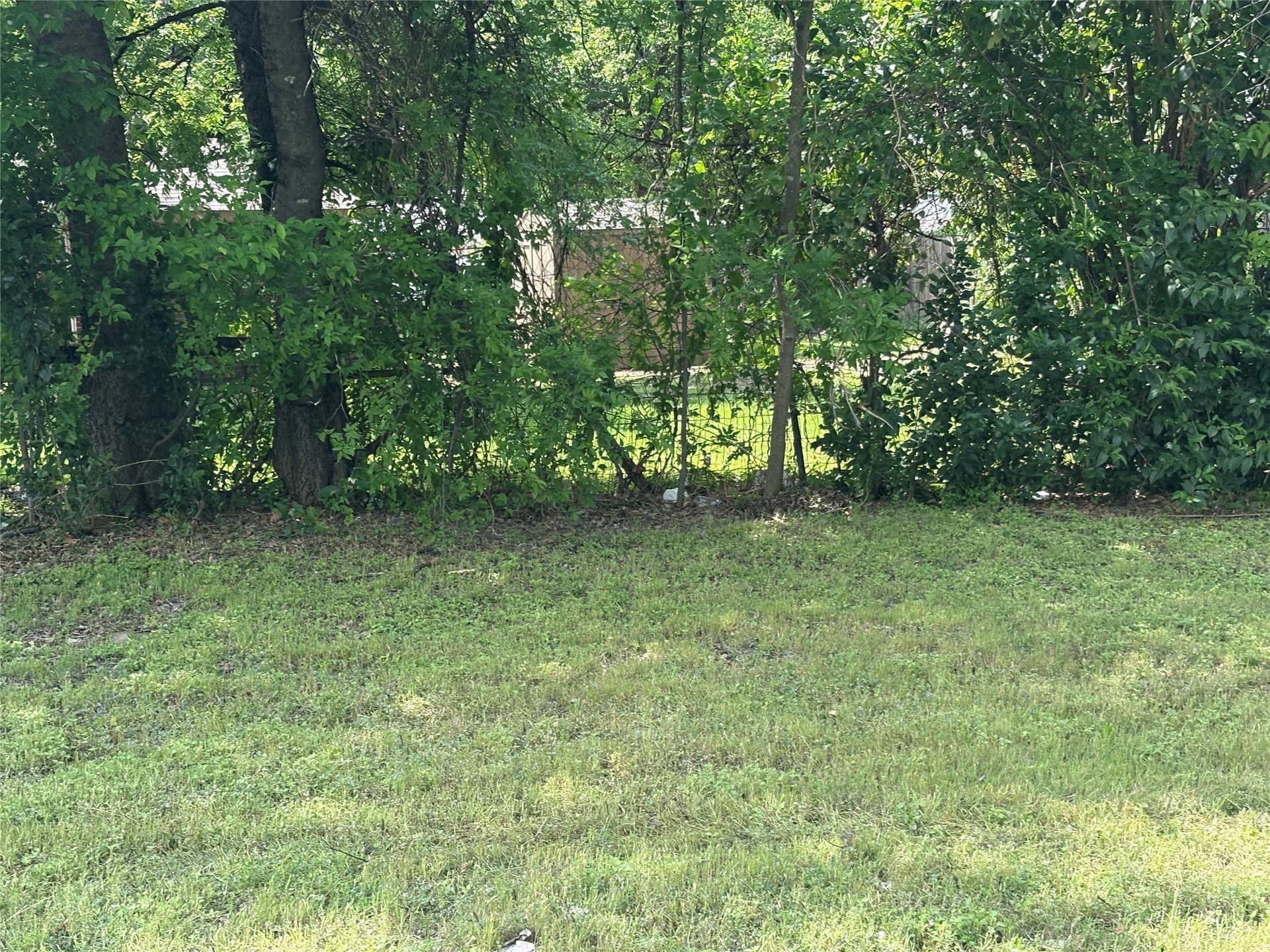 0.14 acres in Dallas County gallery image 2