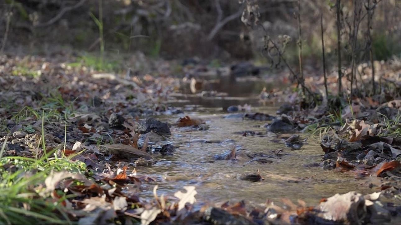 15.21 acres in Texas County - photo 13