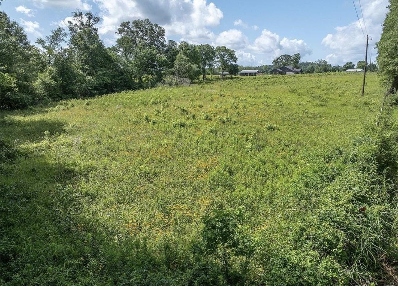 15.21 acres in Texas County gallery image 4