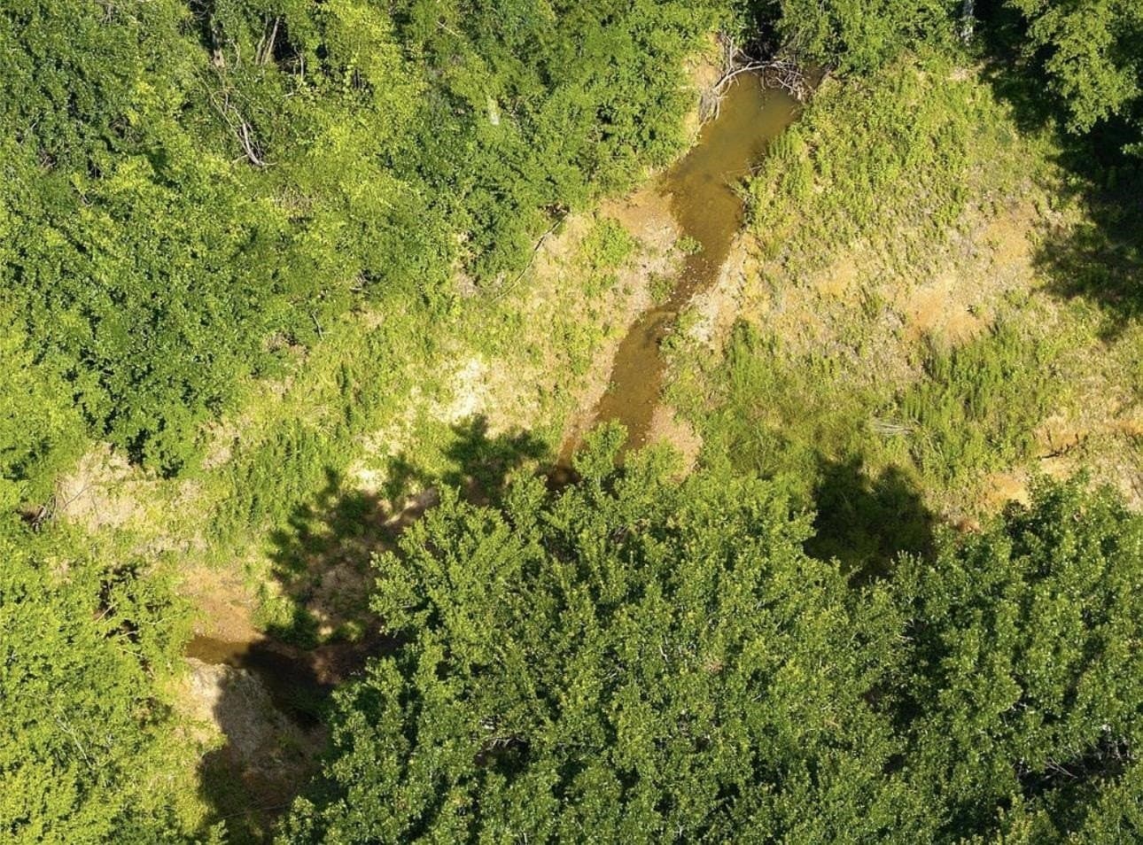 15.21 acres in Texas County gallery image 3