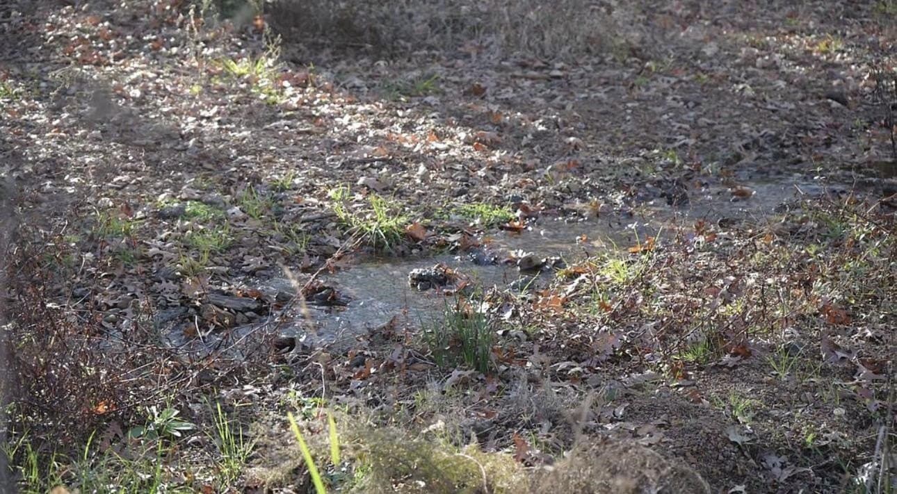 15.21 acres in Texas County - photo 12