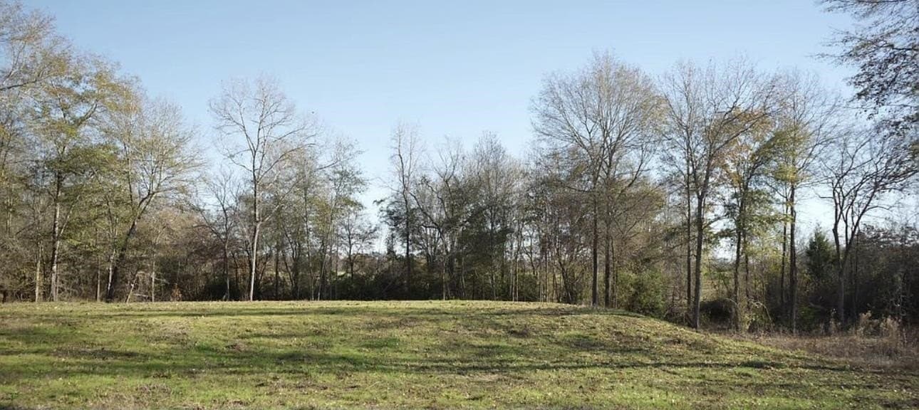 15.21 acres in Texas County - photo 10