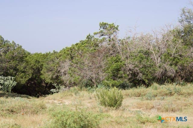 175.61 acres in Bandera County - photo 29