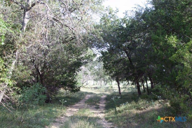 175.61 acres in Bandera County - photo 38