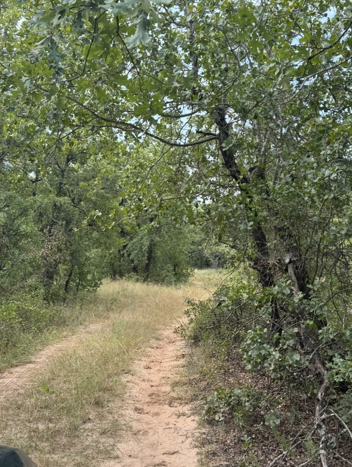 145 acres in Wise County - photo 14