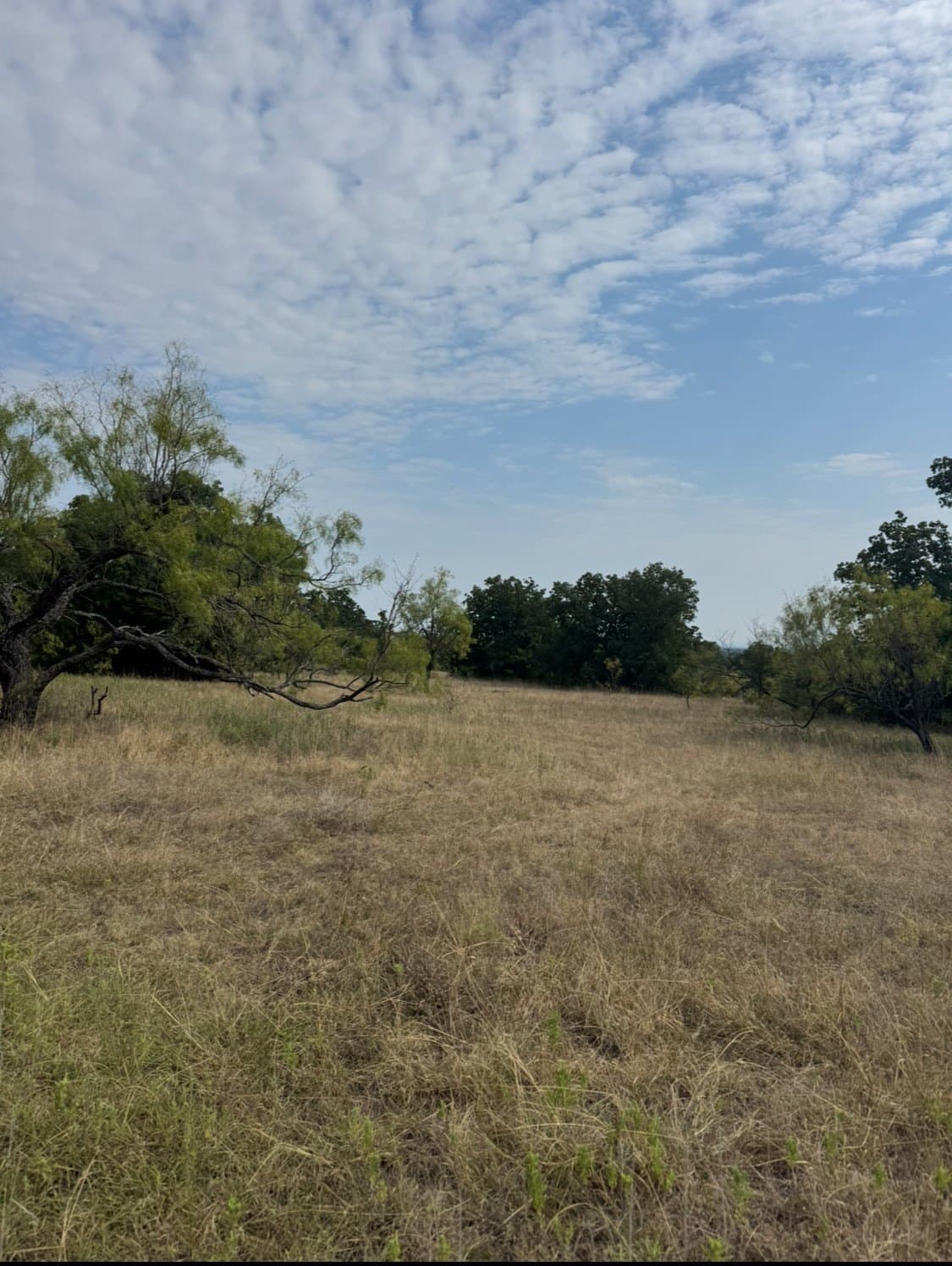 145 acres in Wise County - photo 16