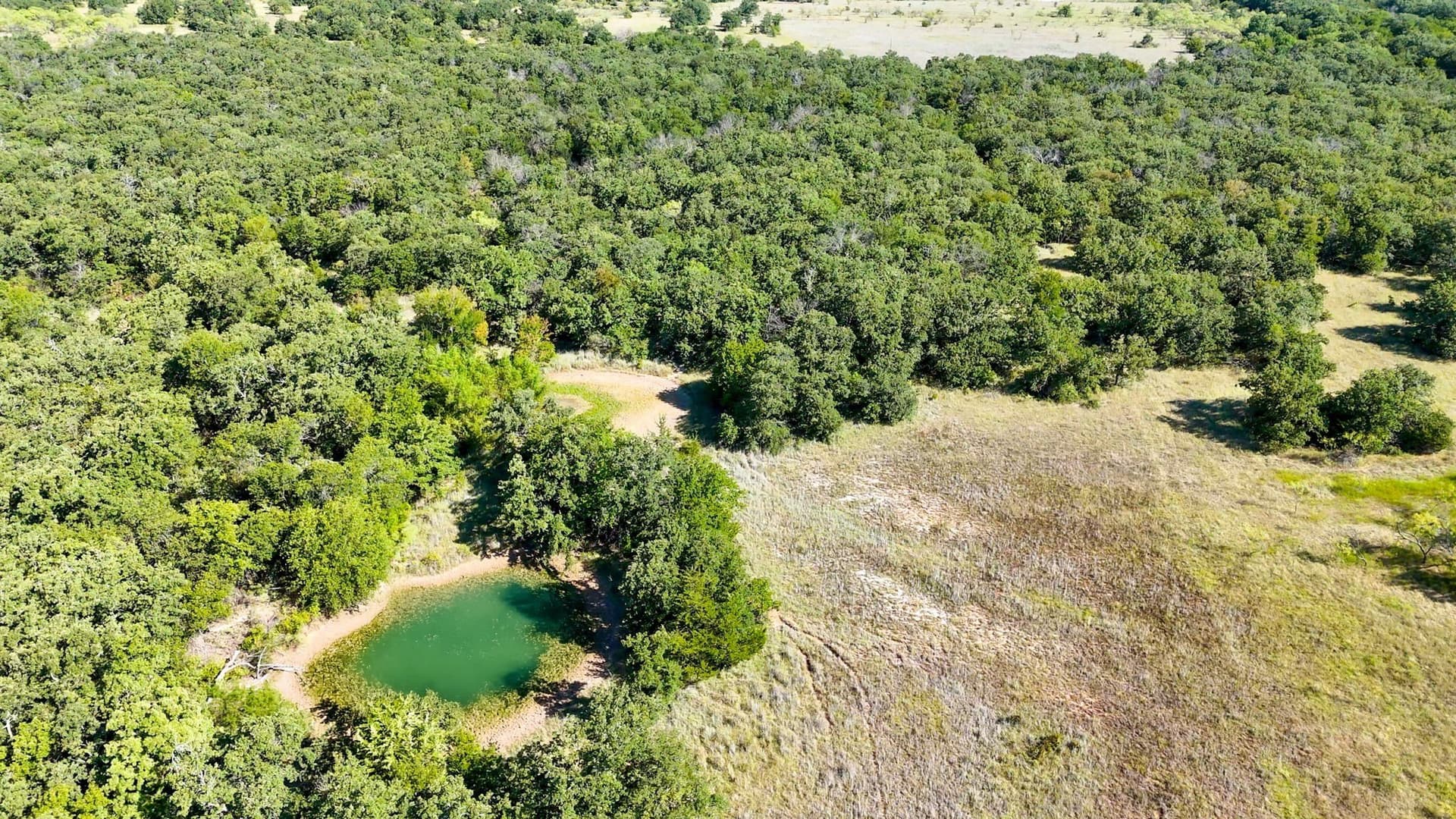 145 acres in Wise County - photo 5