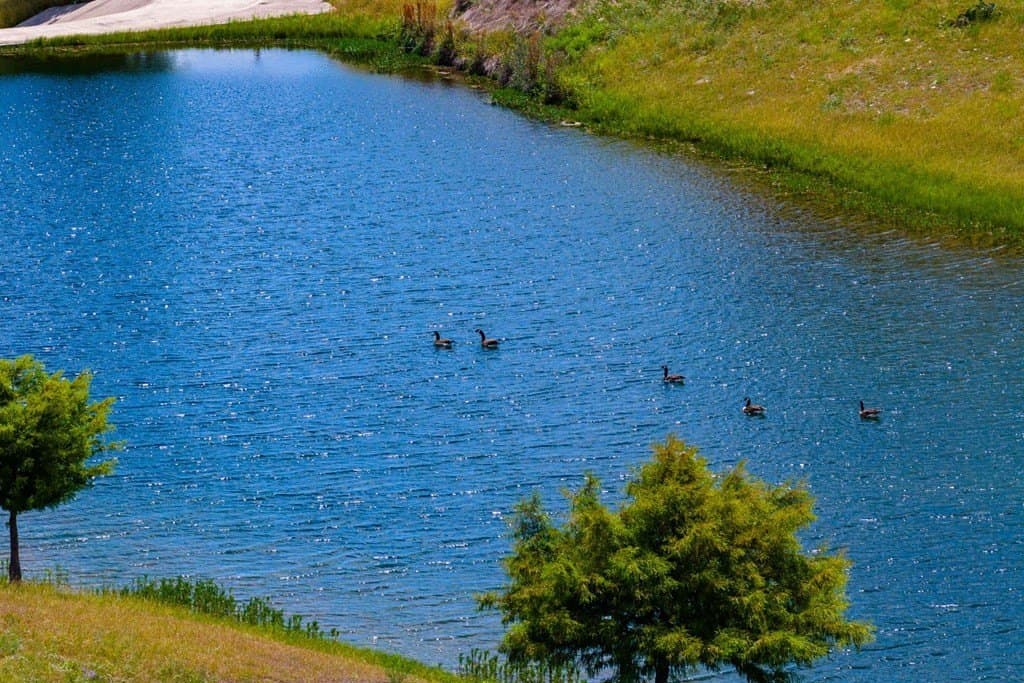 178.45 acres in Kerr County - photo 6