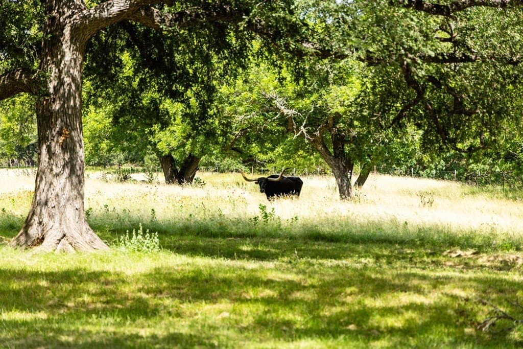 178.45 acres in Kerr County - photo 47