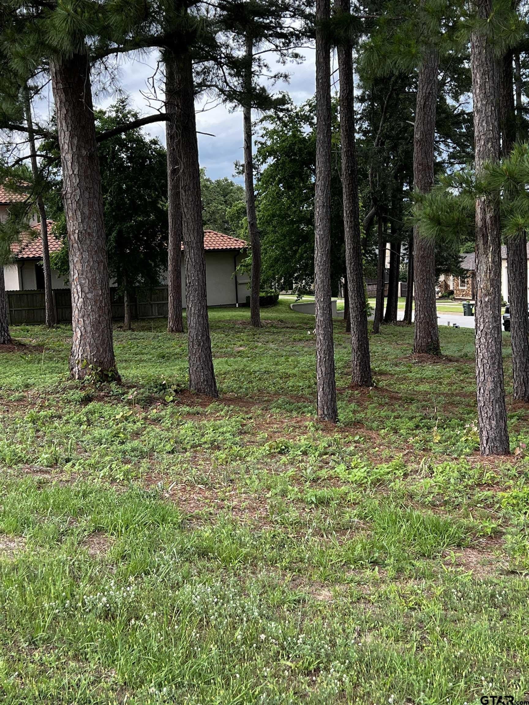 0.51 acres in Smith County gallery image 4