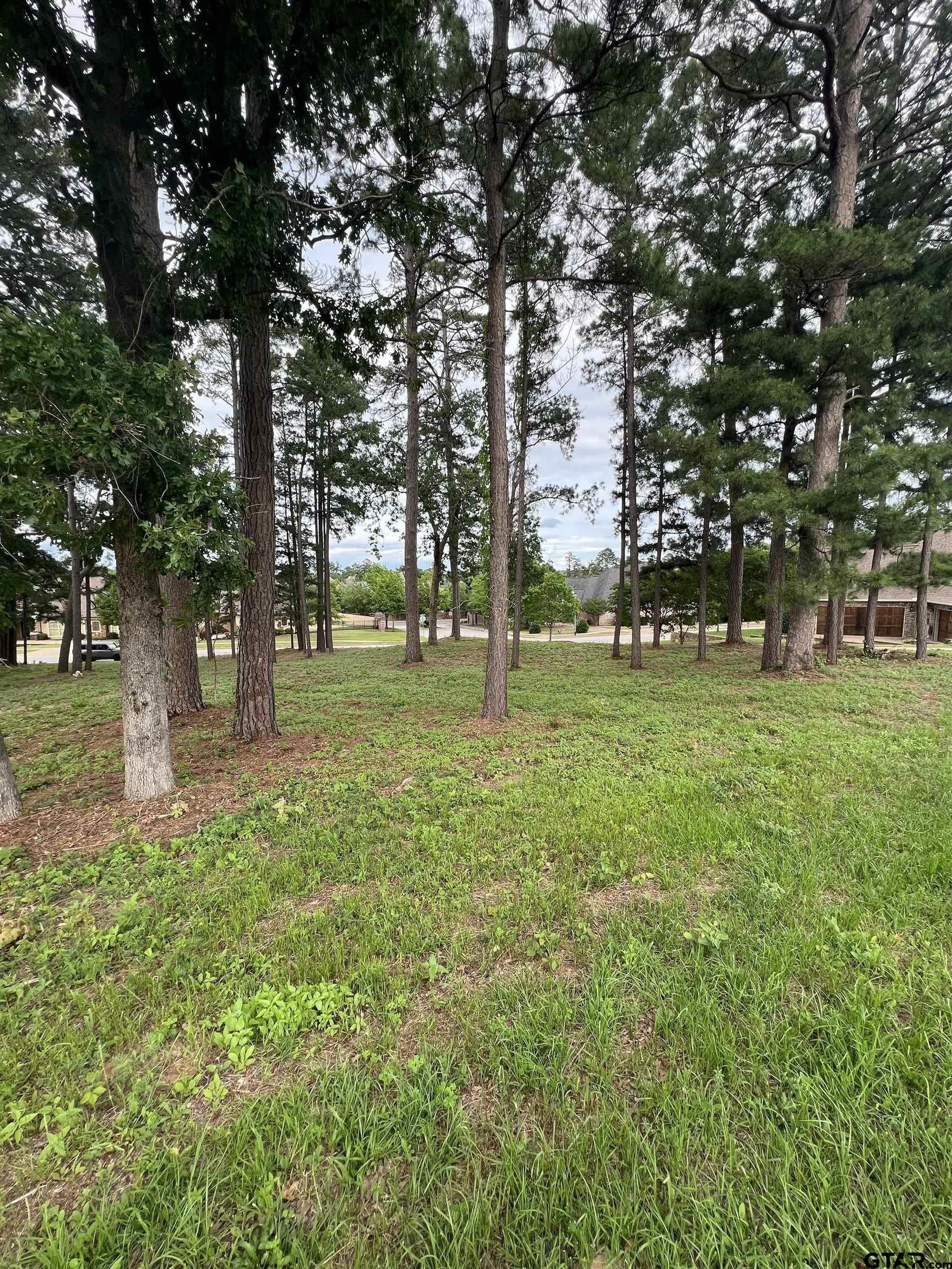 0.51 acres in Smith County gallery image 3