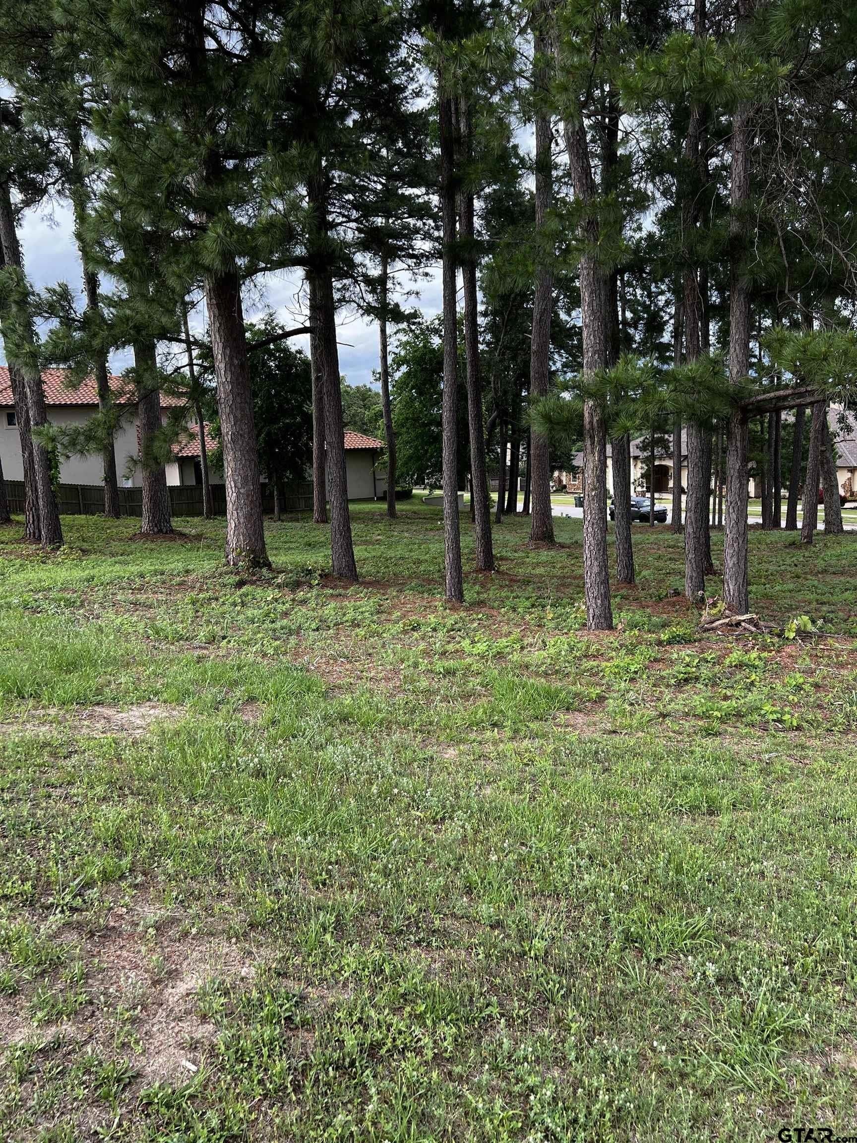 0.51 acres in Smith County featured view