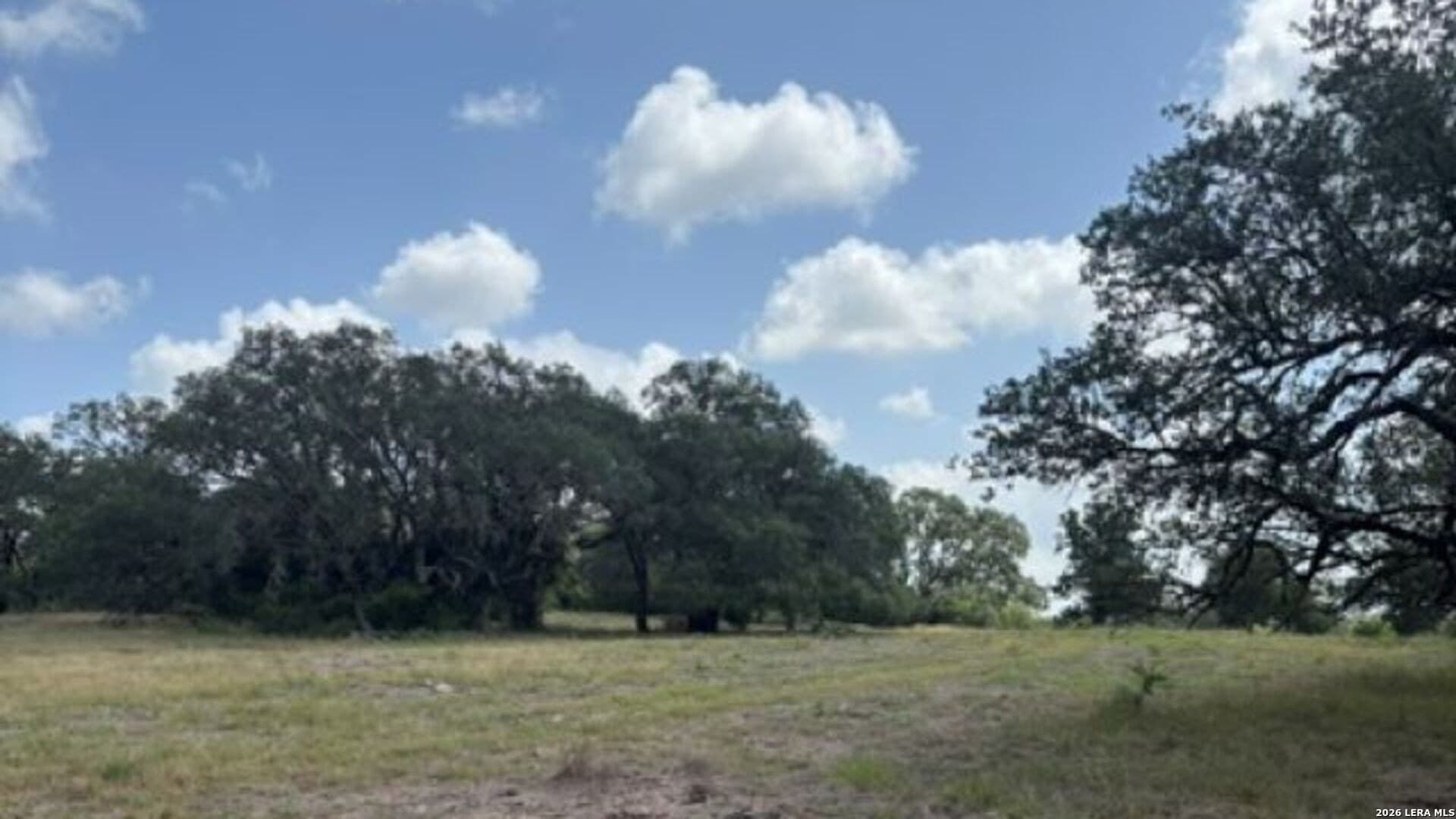 53.84 acres in Medina County - photo 29
