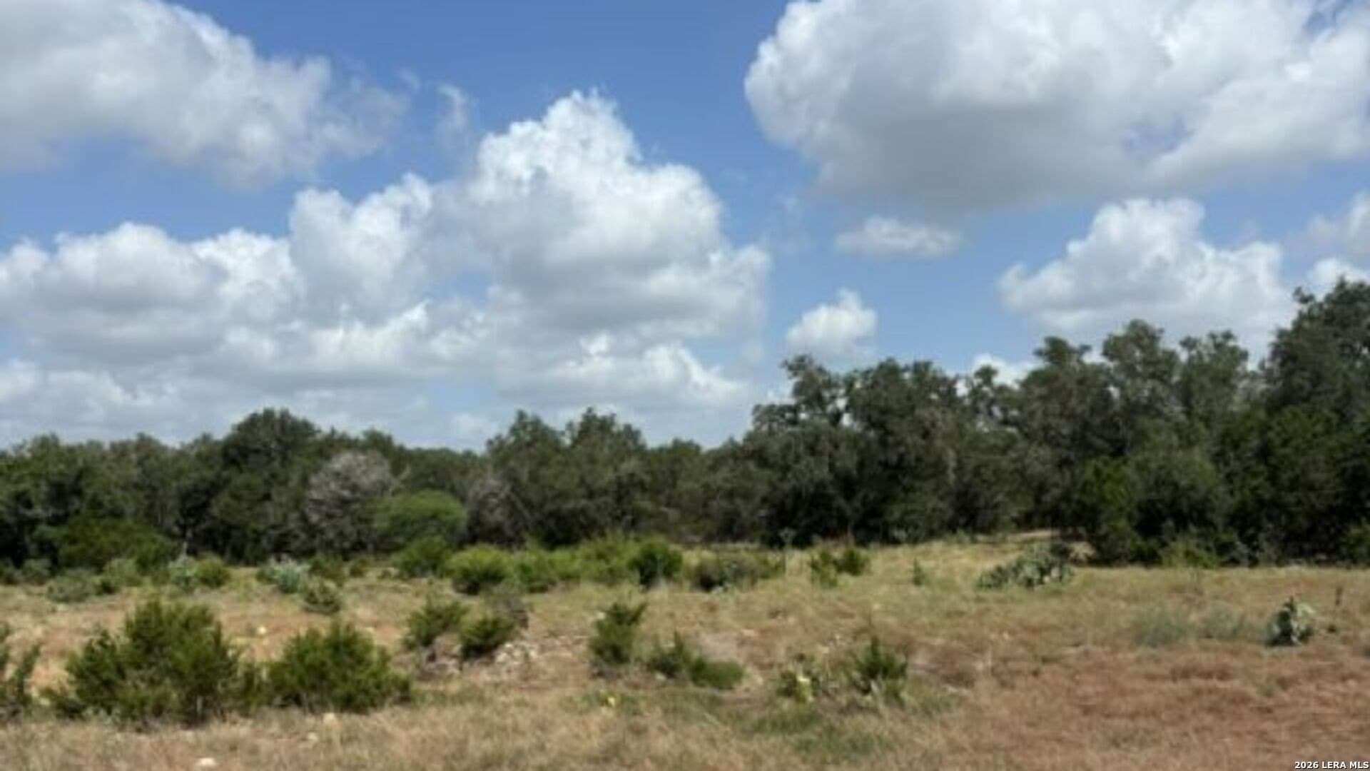 53.84 acres in Medina County - photo 8
