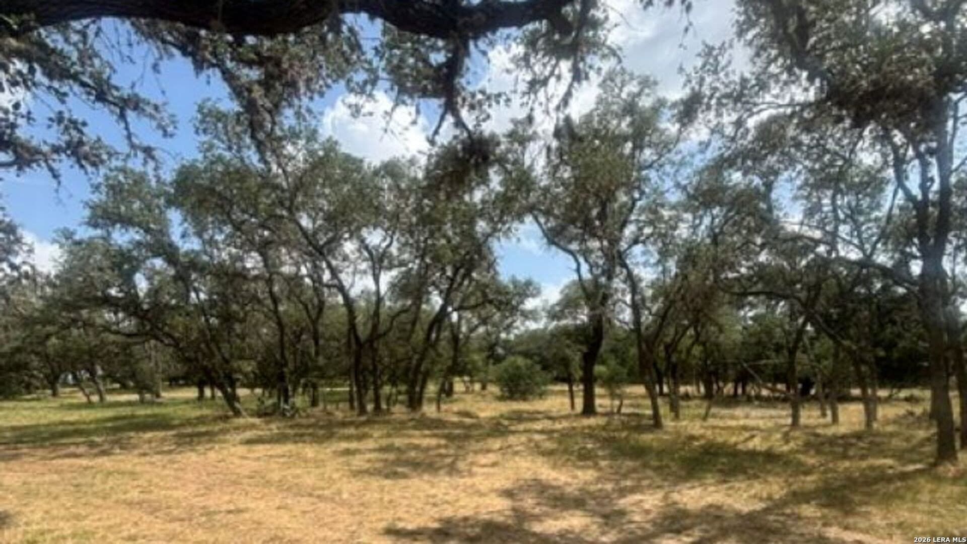 53.84 acres in Medina County - photo 34