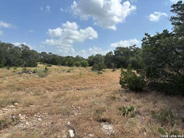 53.84 acres in Medina County - photo 9