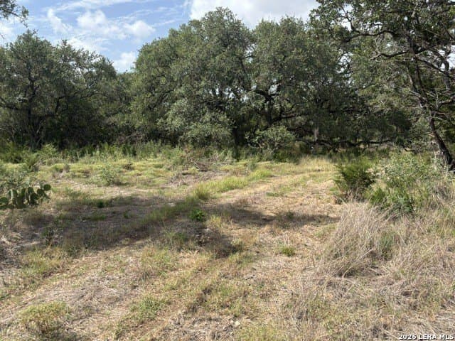 53.84 acres in Medina County - photo 15