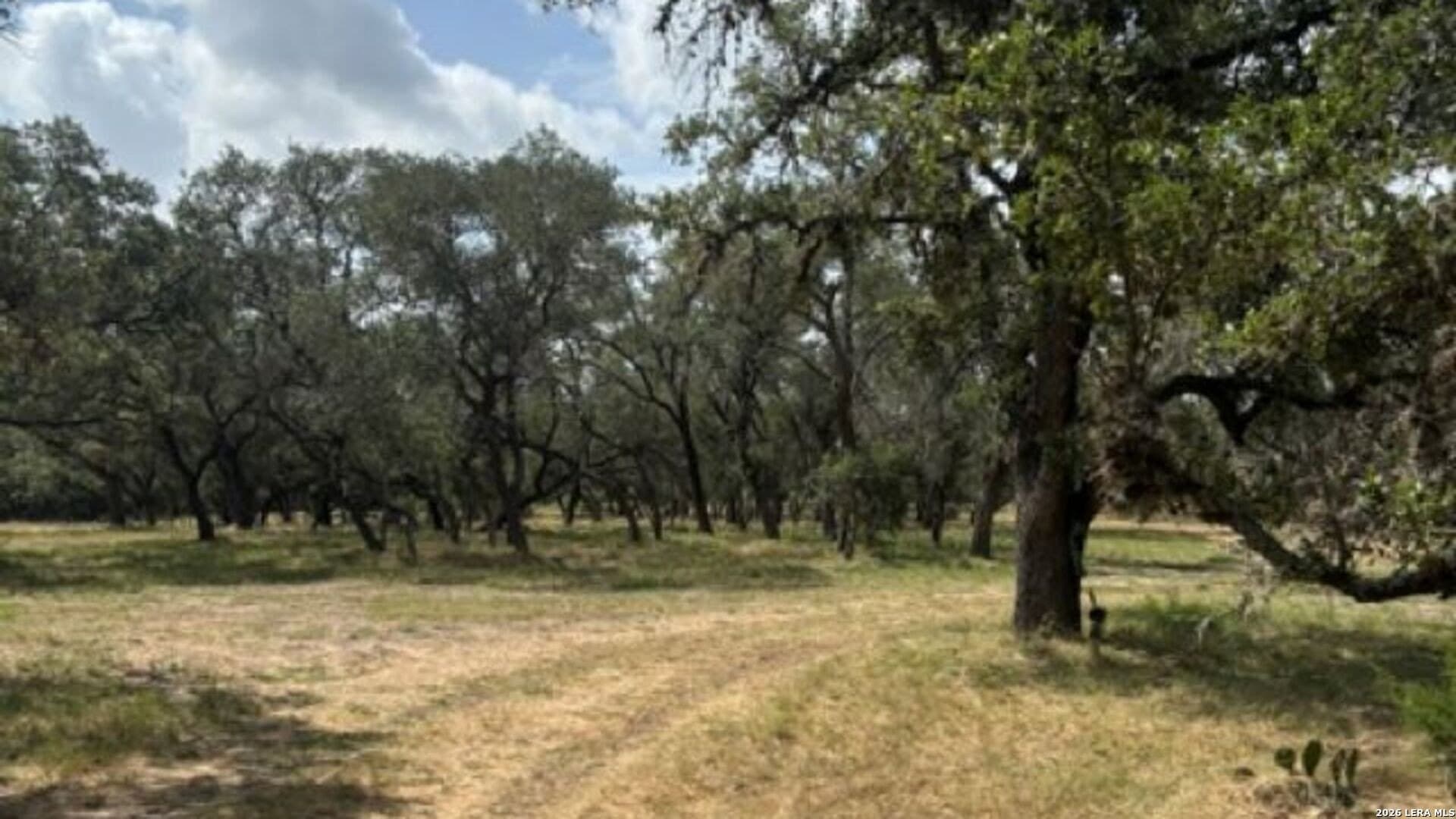 53.84 acres in Medina County - photo 32