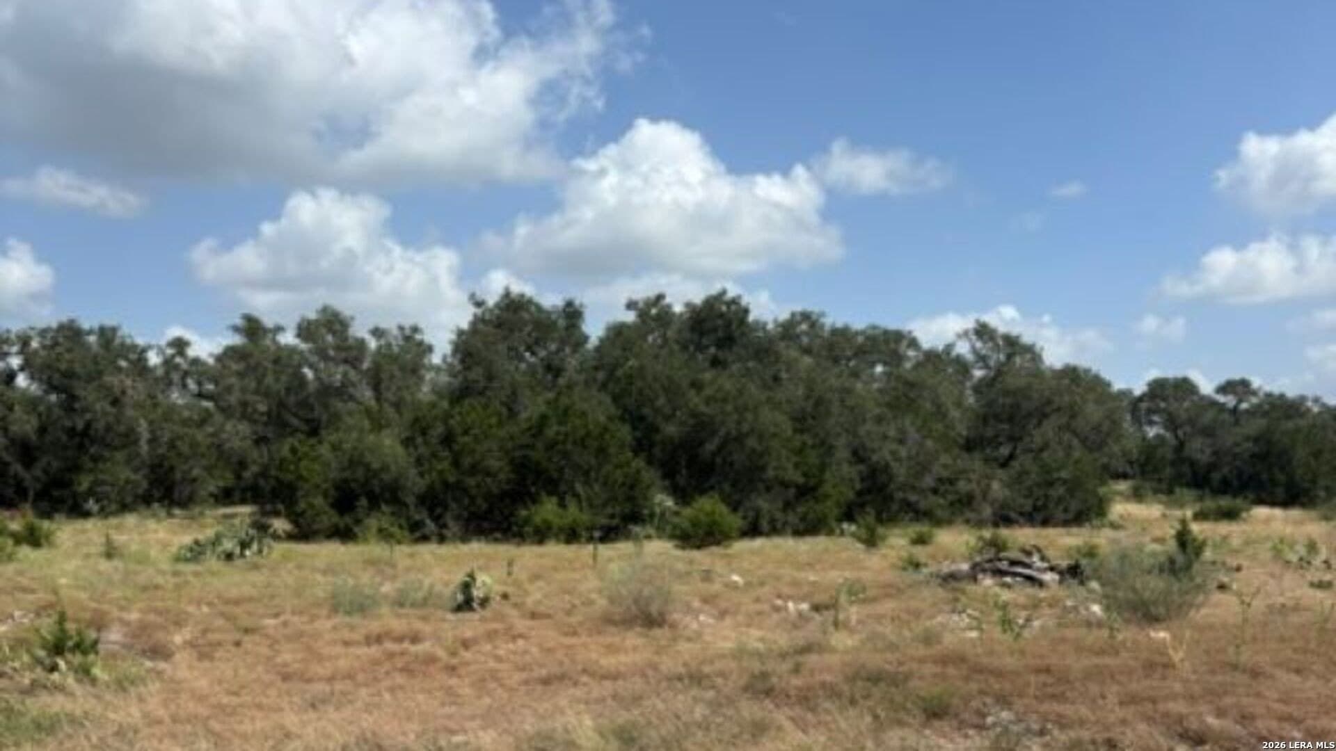 53.84 acres in Medina County - photo 7