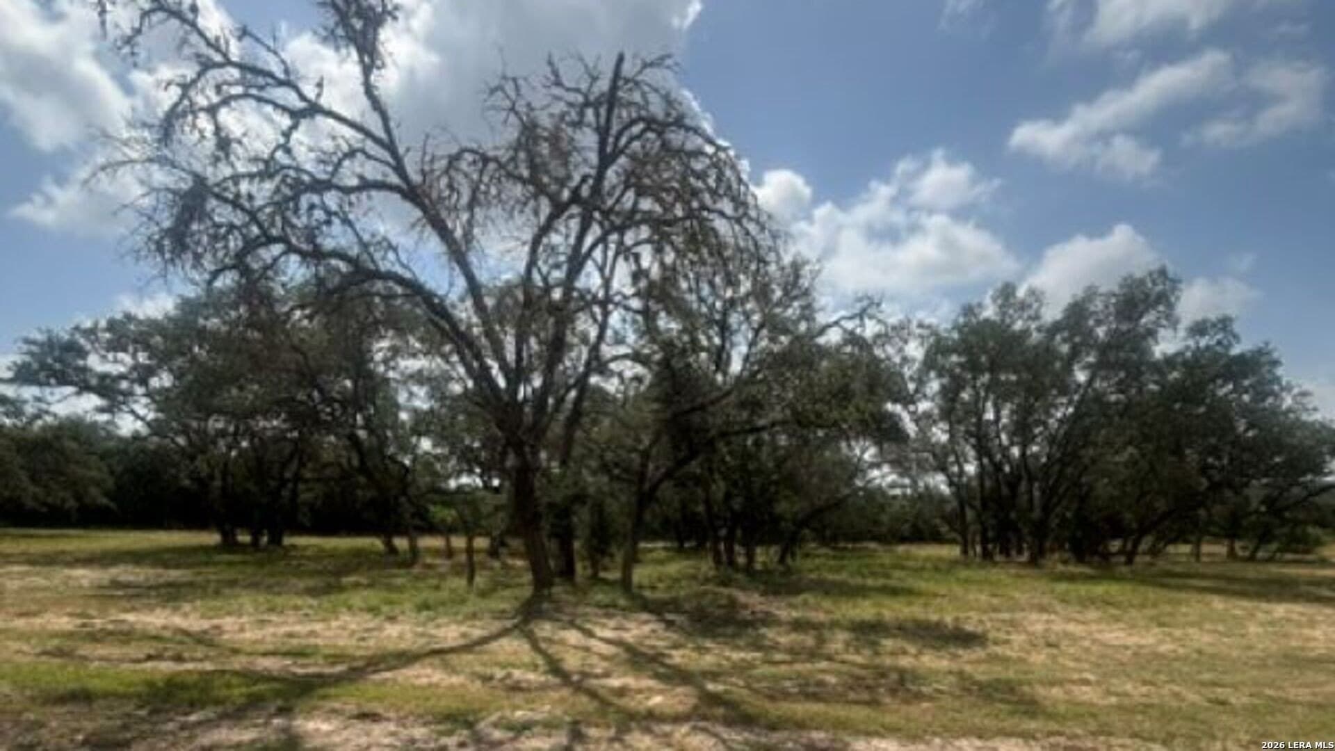 53.84 acres in Medina County - photo 31