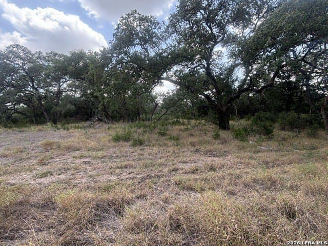 53.84 acres in Medina County - photo 16