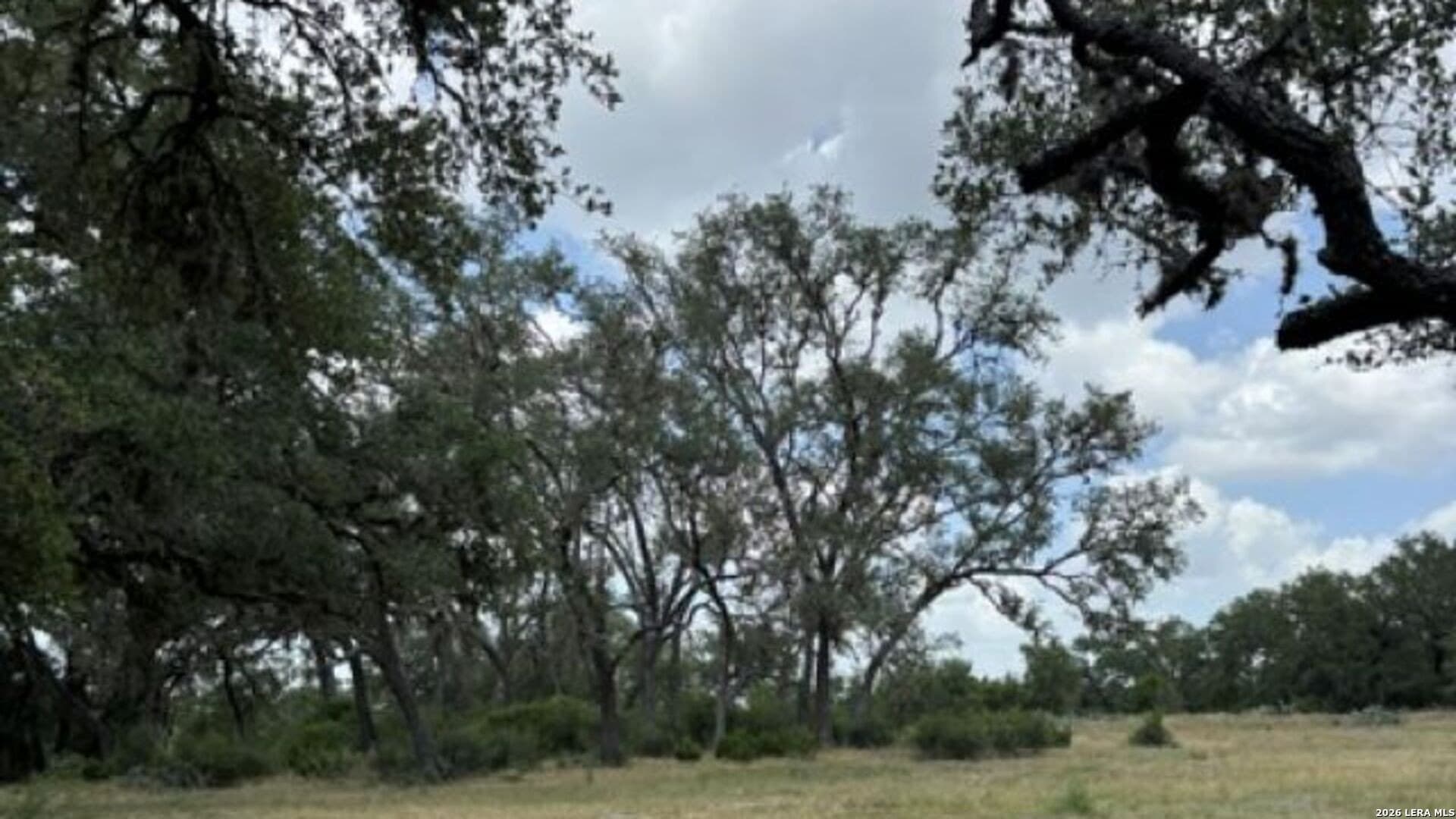 53.84 acres in Medina County - photo 11