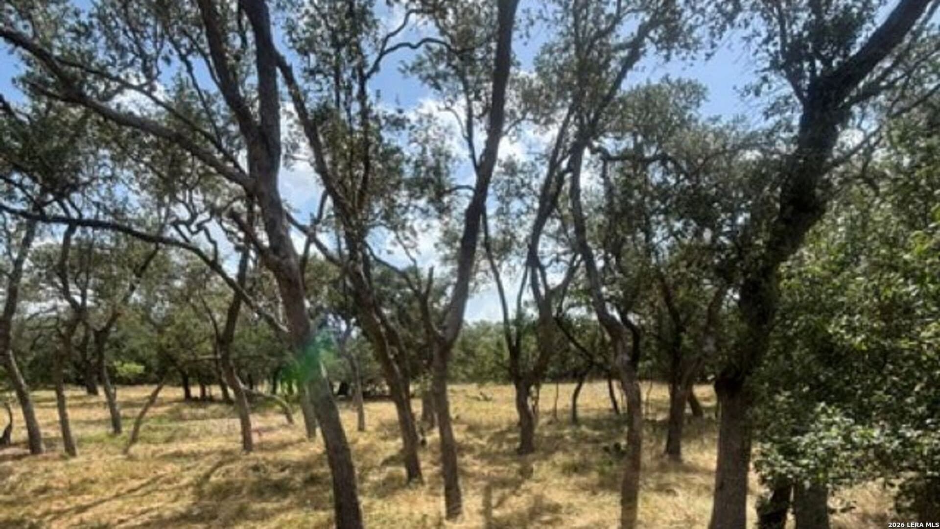 53.84 acres in Medina County - photo 22