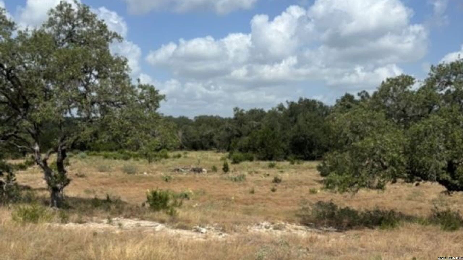53.84 acres in Medina County - photo 13