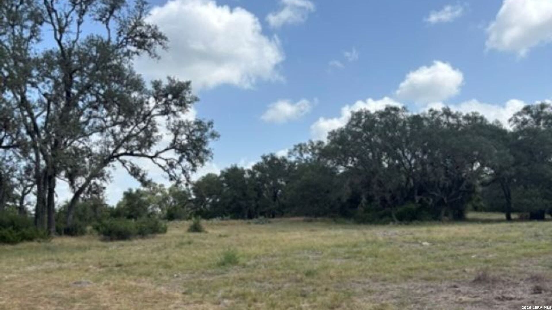 53.84 acres in Medina County - photo 23