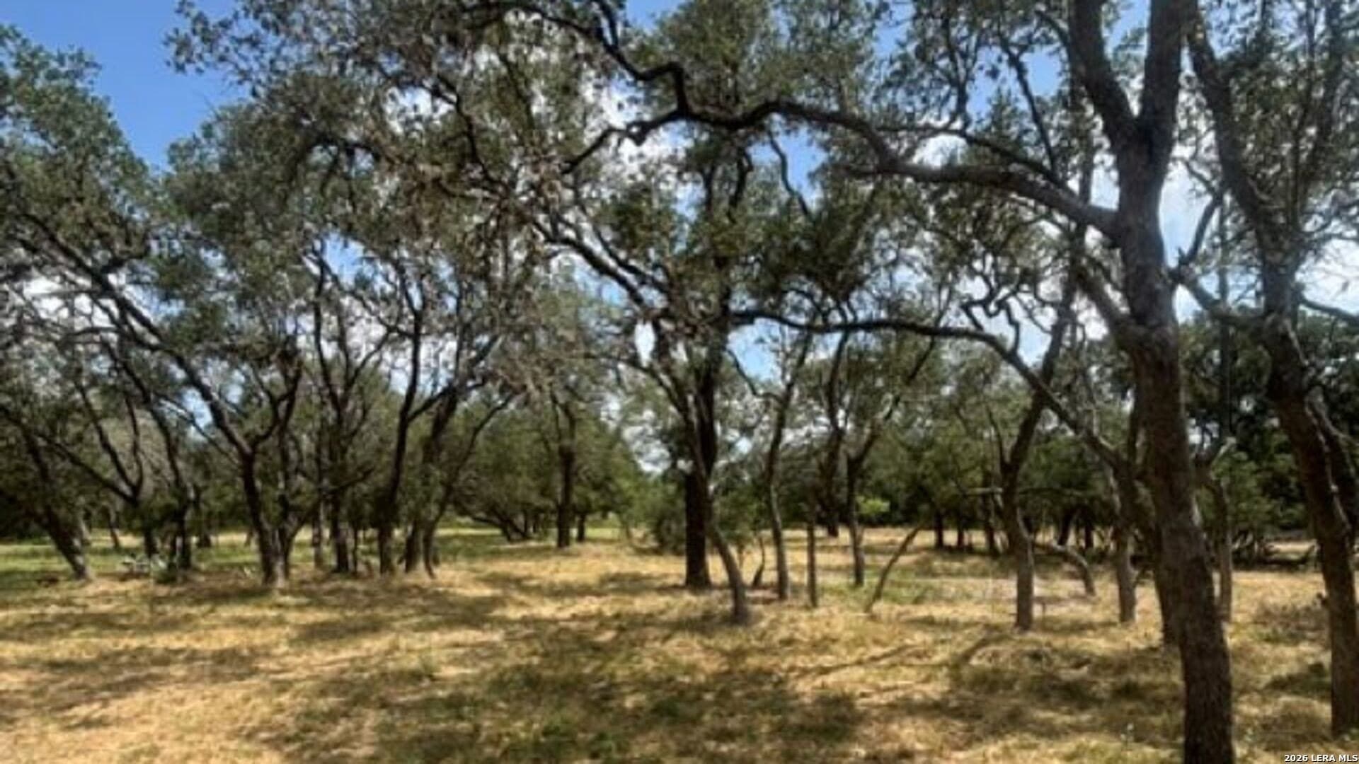 53.84 acres in Medina County - photo 21