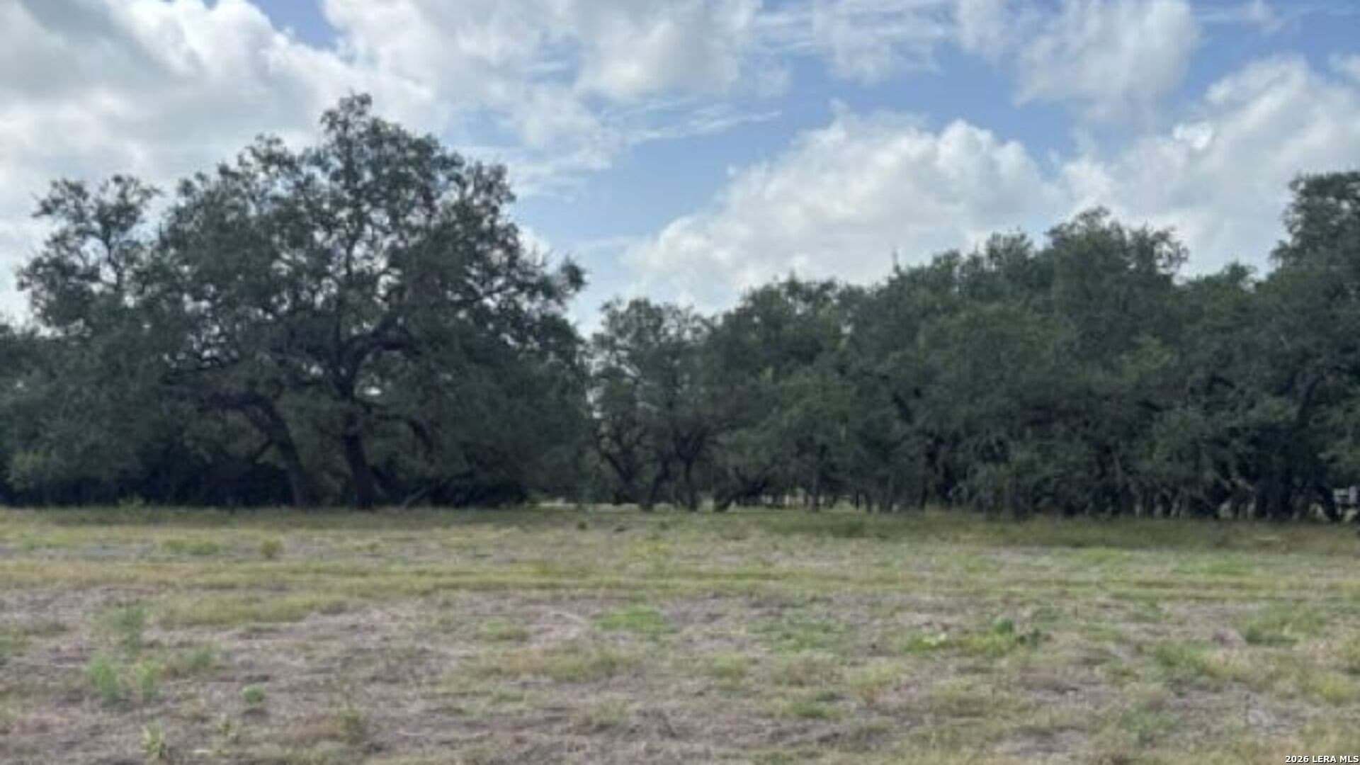 53.84 acres in Medina County - photo 24