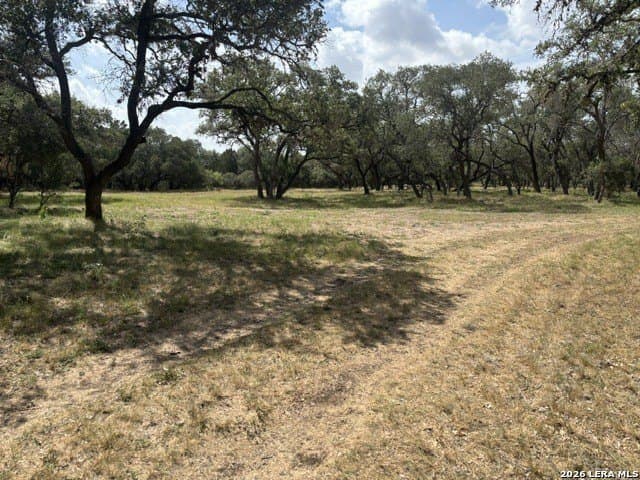 53.84 acres in Medina County - photo 28
