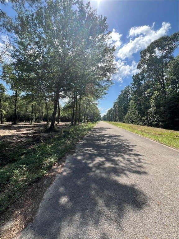 2.5 acres in Grimes County - photo 7