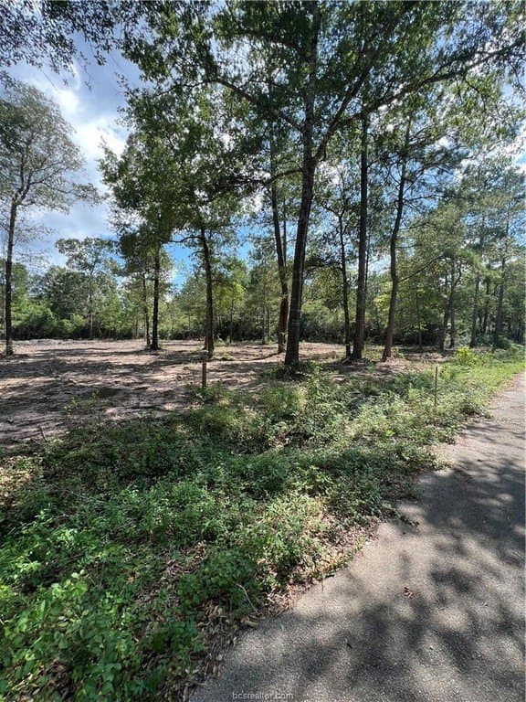 2.5 acres in Grimes County - photo 5