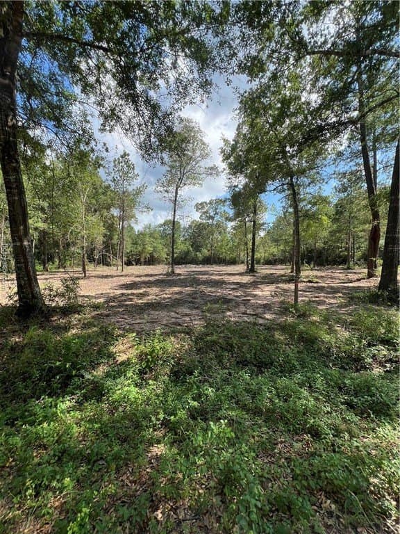 2.5 acres in Grimes County