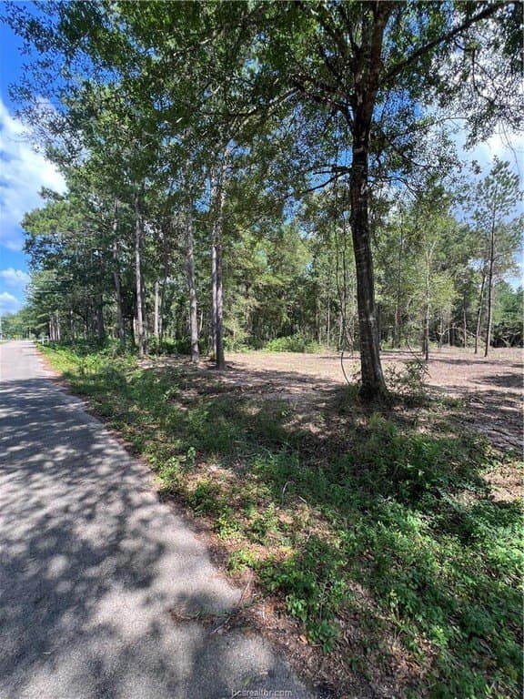 2.5 acres in Grimes County - photo 3