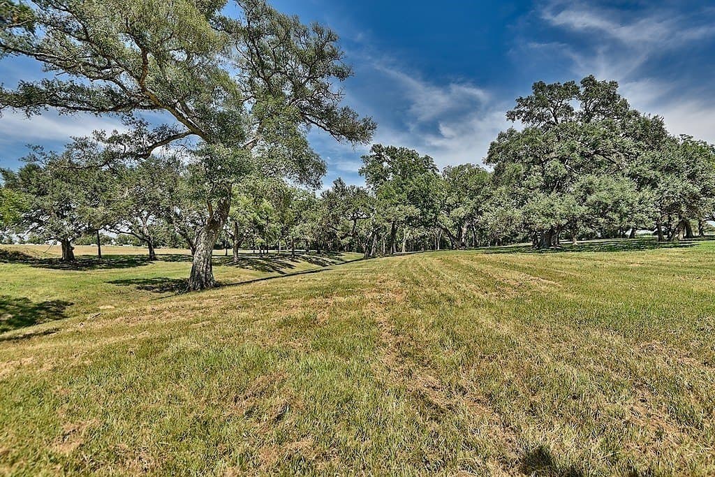49.48 acres in Colorado County featured view