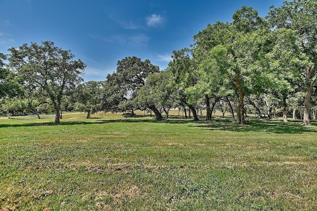 49.48 acres in Colorado County gallery image 2