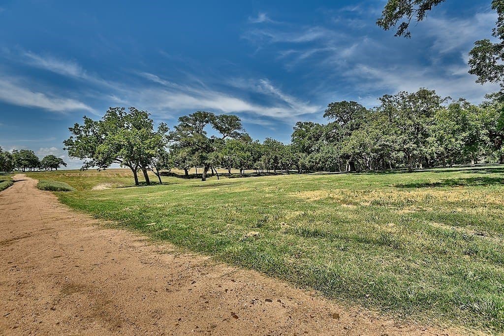 49.48 acres in Colorado County gallery image 4