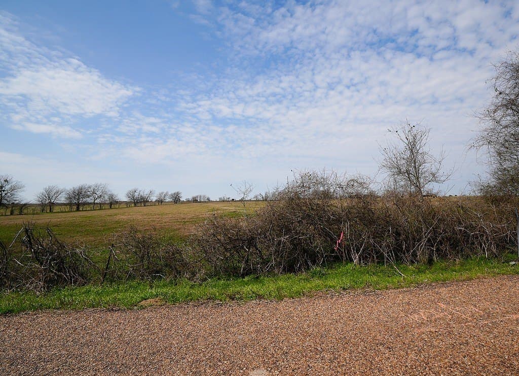 21.56 acres in Fayette County - photo 6