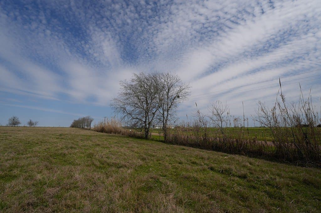 21.56 acres in Fayette County - photo 9