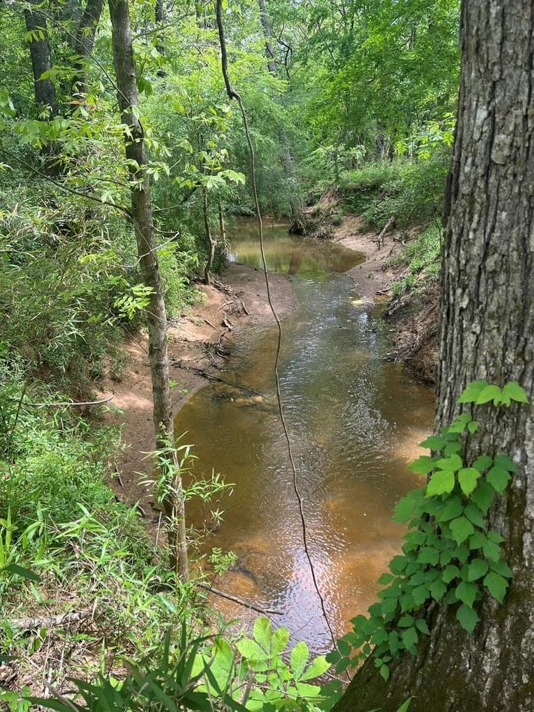 121.15 acres in Texas County