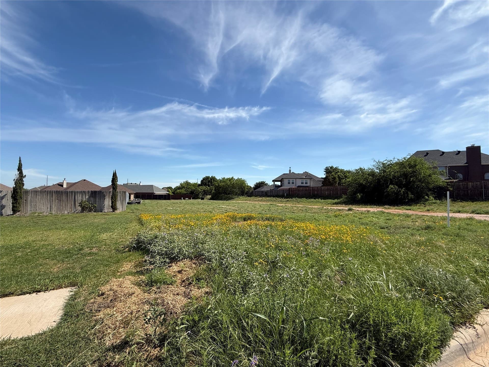 0.55 acres in Taylor County gallery image 4