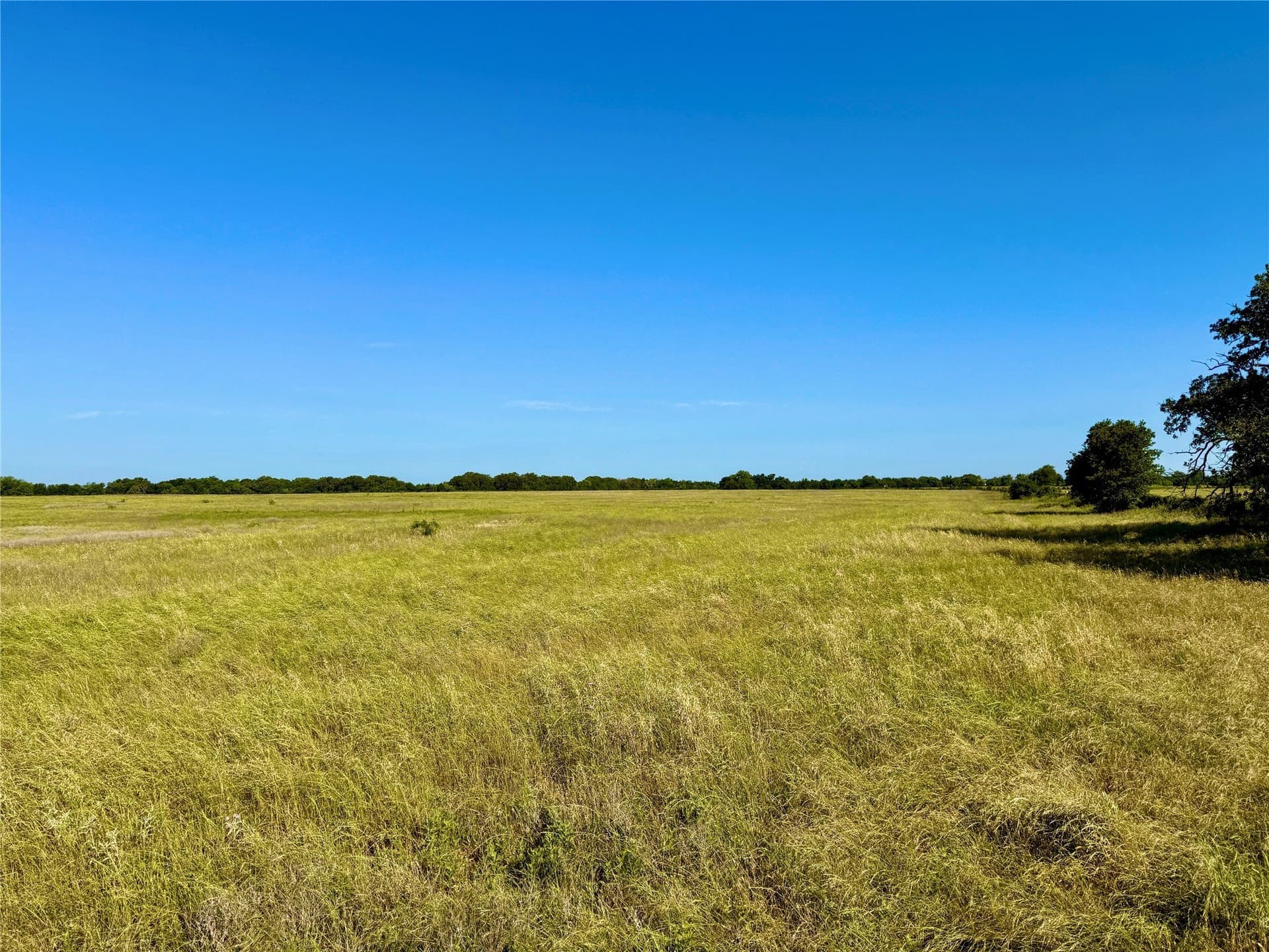 275.73 acres in Erath County gallery image 3